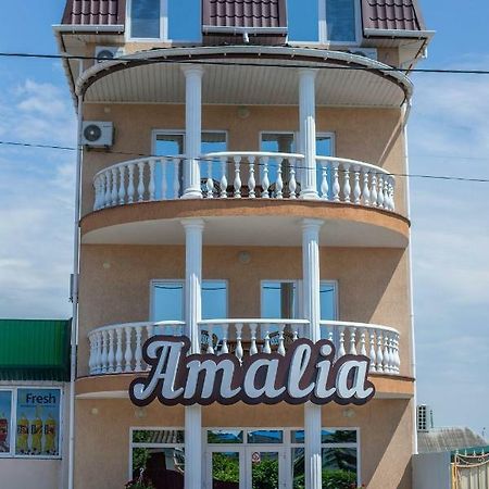 Amalia Hotel Zaliznyi Port Luaran gambar