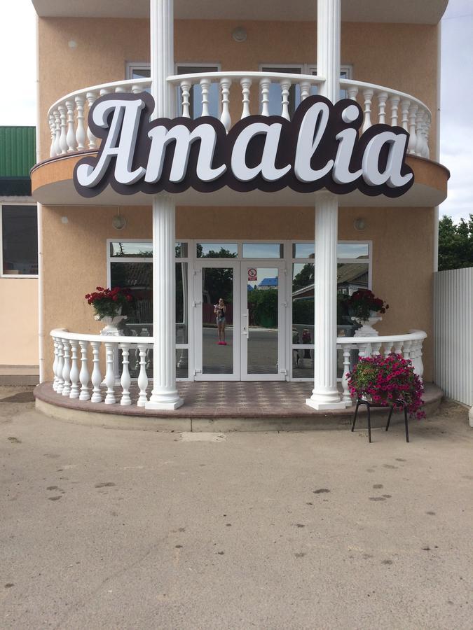 Amalia Hotel Zaliznyi Port Luaran gambar