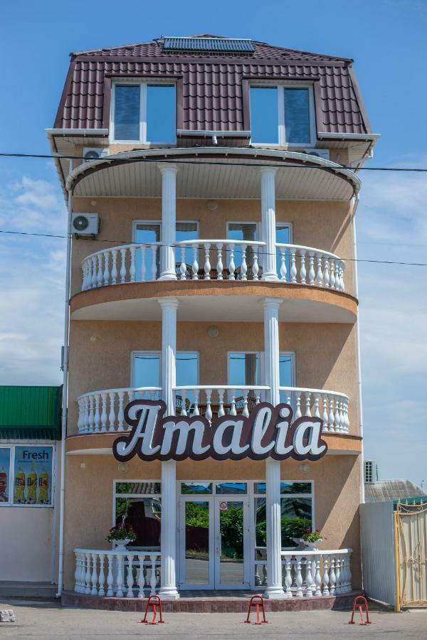 Amalia Hotel Zaliznyi Port Luaran gambar